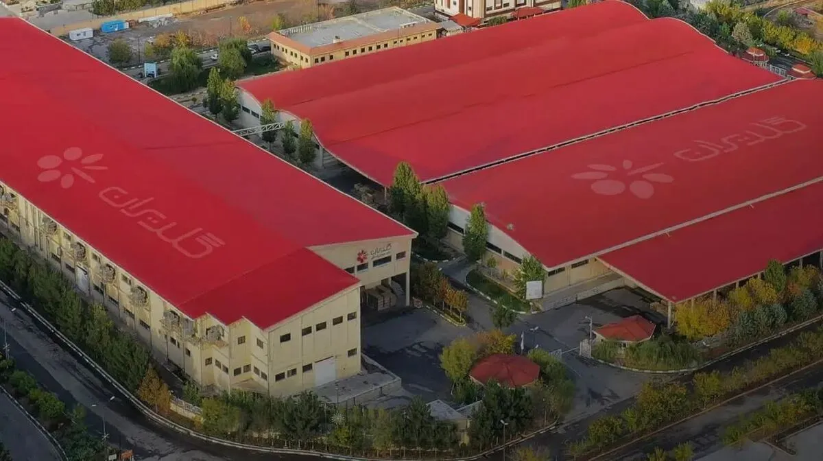 گزارش تخلفات ۱۰ ساله گلدیران روی میز دستگاه قضا