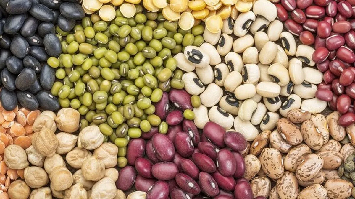 بازار حبوبات یله شد