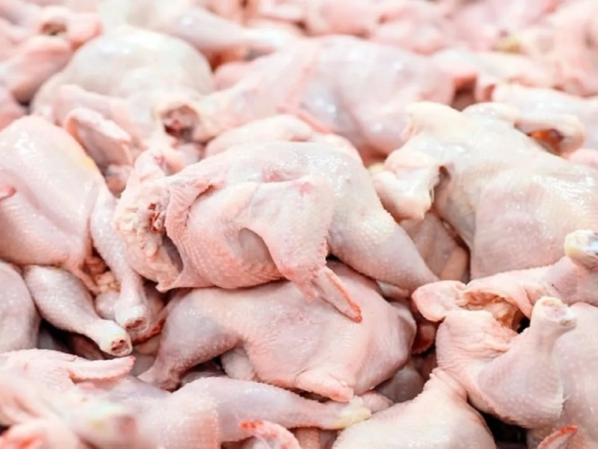 توزیع روزانه مرغ تهران به ۱۵۰۰ تن رسید