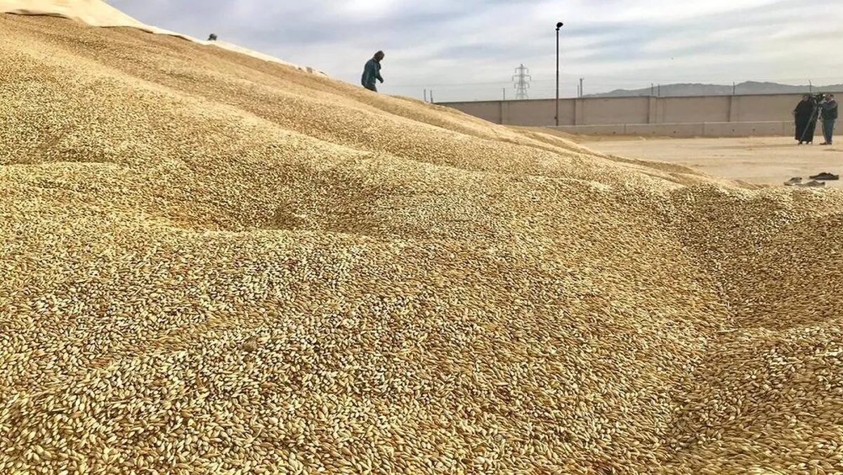 ۳ میلیارد یوروِ واردکنندگان در انتظار تسویه با بانک مرکزی