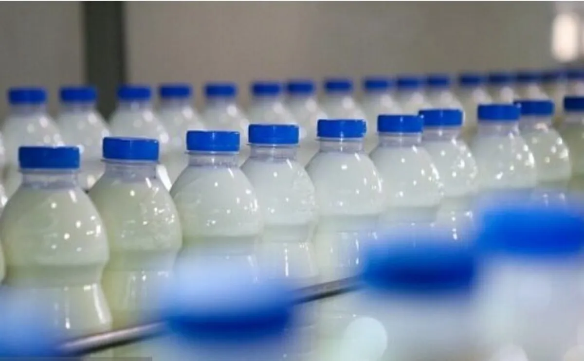 تداوم برخورد قاطع با گران‌فروشی لبنیات