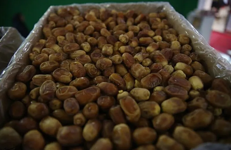 ممنوعیت ۵۰ روزه صادرات خرما لغو شد