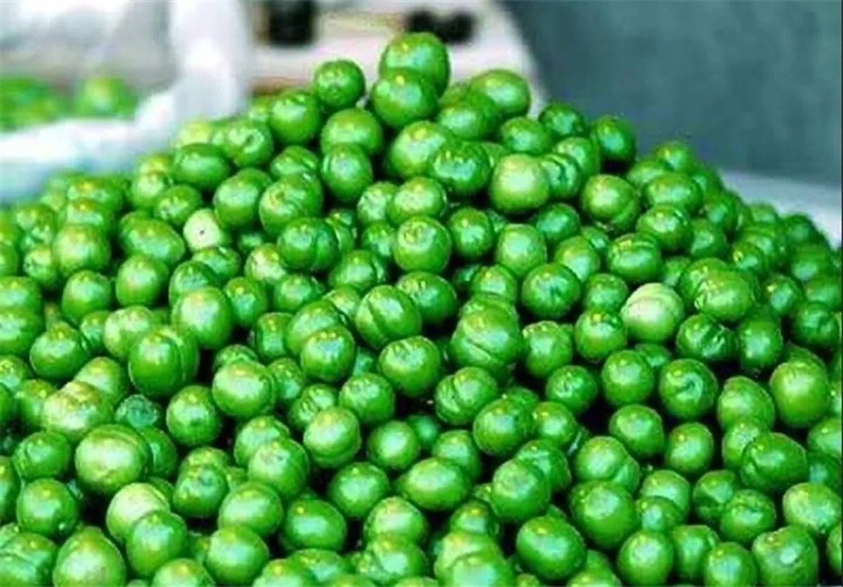 نرخ نوبرانه گوجه سبز؛ ۷۰۰ هزار تا ۲ میلیون تومان