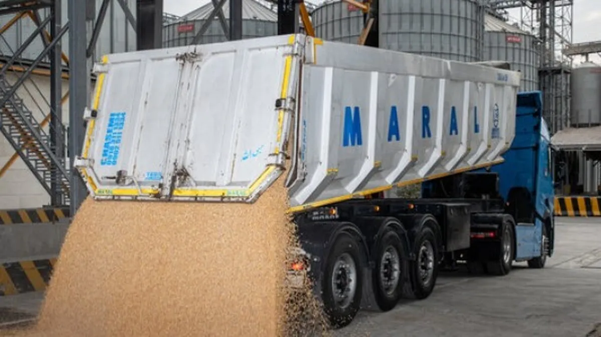 تخلیه و حمل یکسره گندم از کشتی با قطار پس از سال‌ها در بندر شهید رجایی