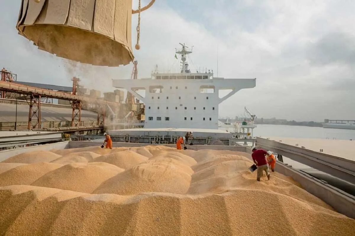 ۵ میلیون تن نهاده دامی در گمرک منتظر پرداخت ارز است