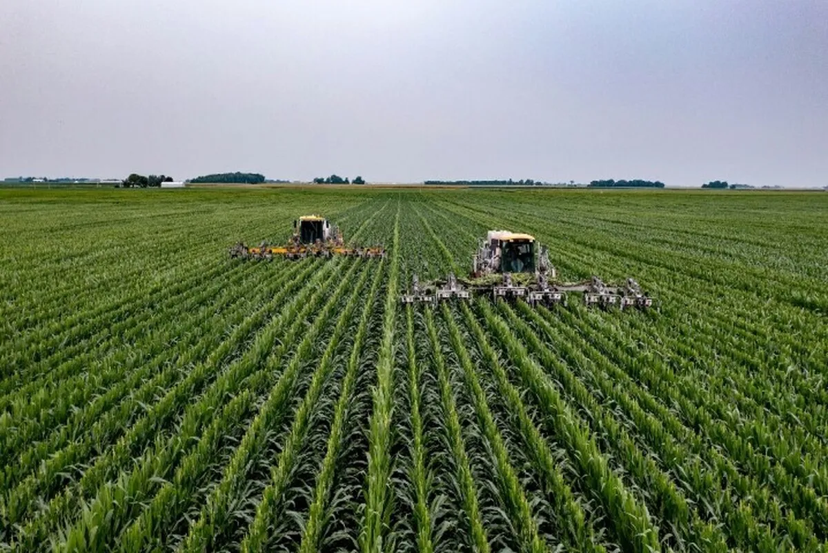کشاورزی ایران گرفتار در نبود آمار دقیق/ هر دستگاه ساز خود را می‌زند
