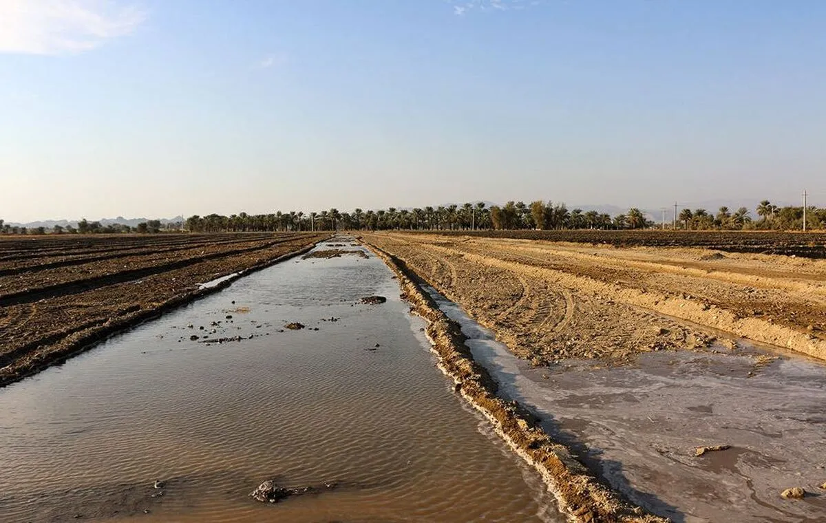 حل تنش‌های آبی زاینده‌رود؛ طرح‌های نادرست کشاورزی در بالادست متوقف می‌شود