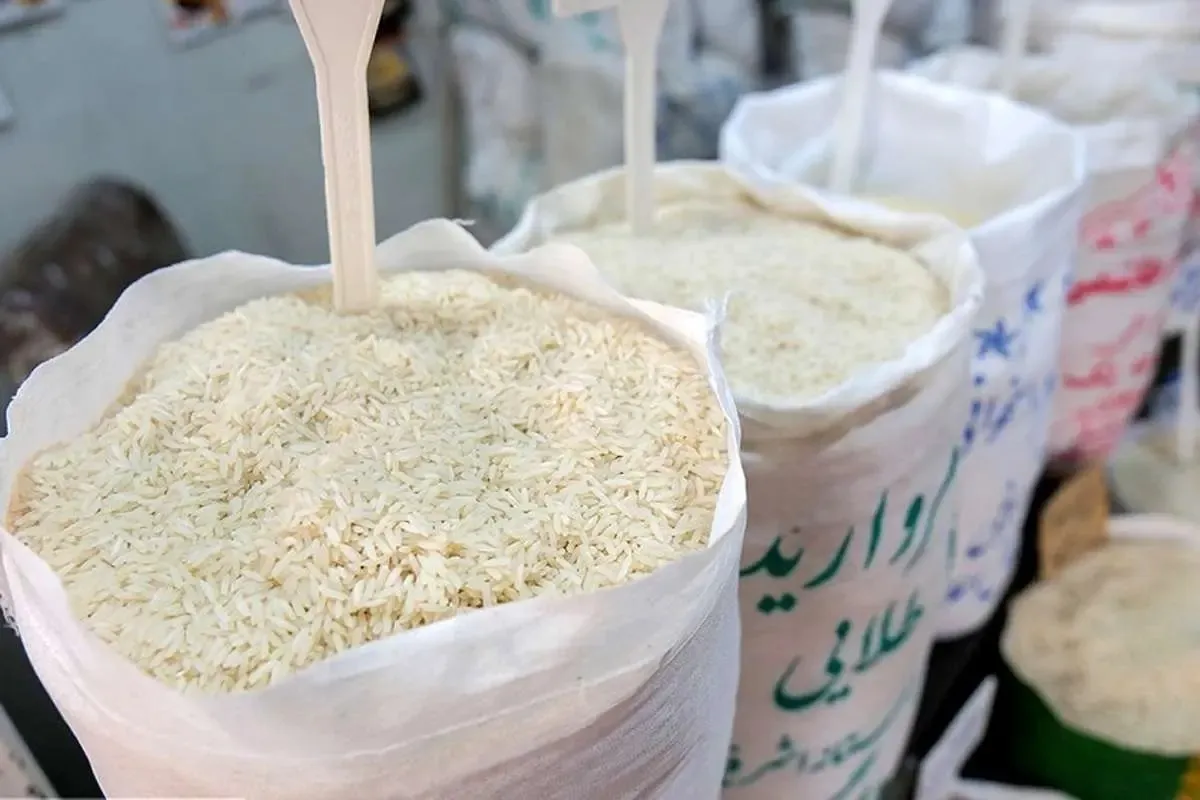 راز گرانی برنج مشخص شد