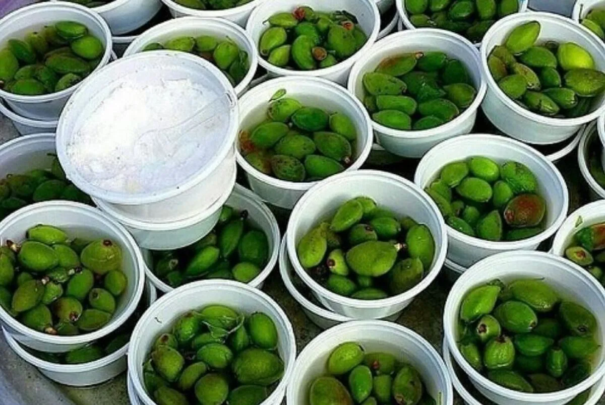 عرضه گرمی چغاله بادام گران‌تر از گوشت/ نوبرانه‌ها چطور لاکچری می‌شود؟