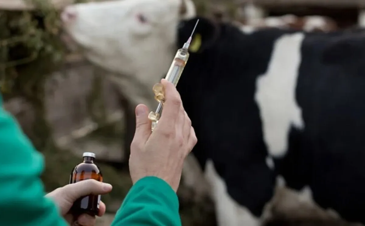 ۲ هزار میلیارد اعتبار لازم برای مقابله با سویه جدید تب برفکی