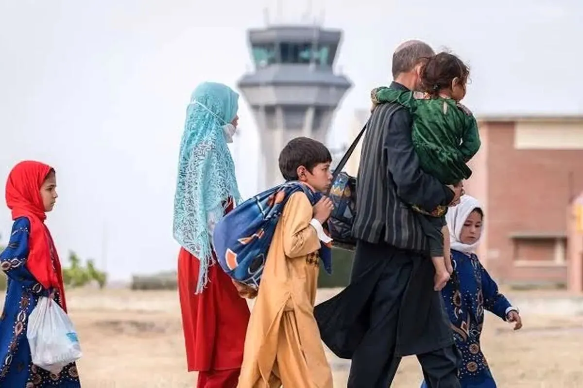 آخرین جزییات از وضعیت ساماندهی اتباع غیرمجاز