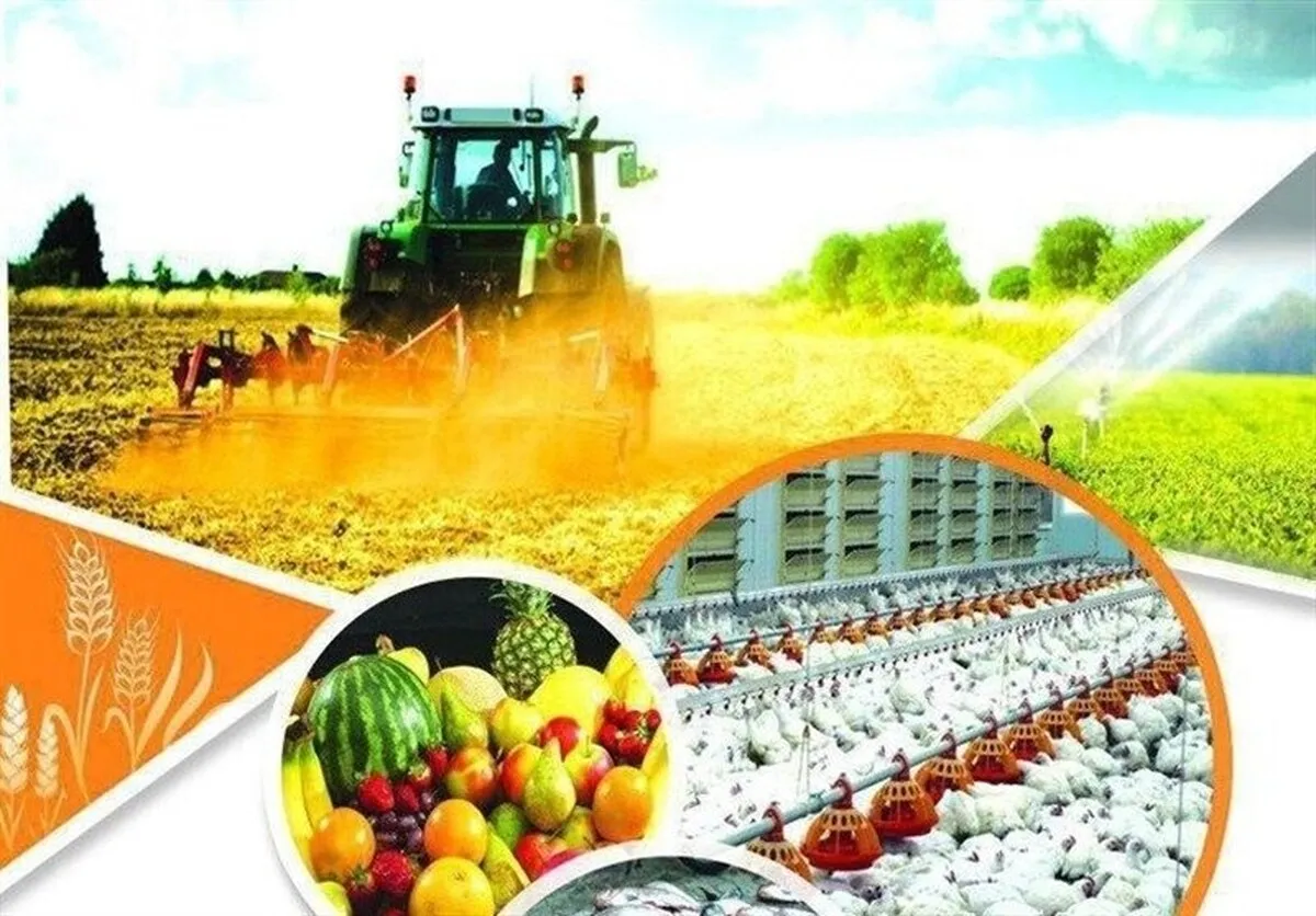 تامین حداکثری ذخایر راهبردی کشاورزی برای ۶ ماه