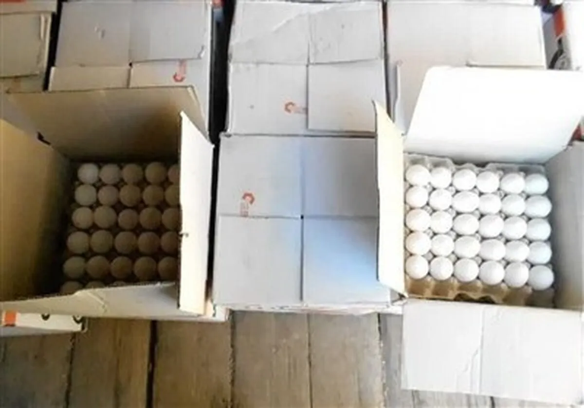 خرید حمایتی تخم‌مرغ به‌قیمت 79هزار تومان از مرغداران