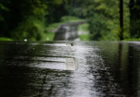 امیدواری به خاموشی کامل آتش‌سوزی الیت