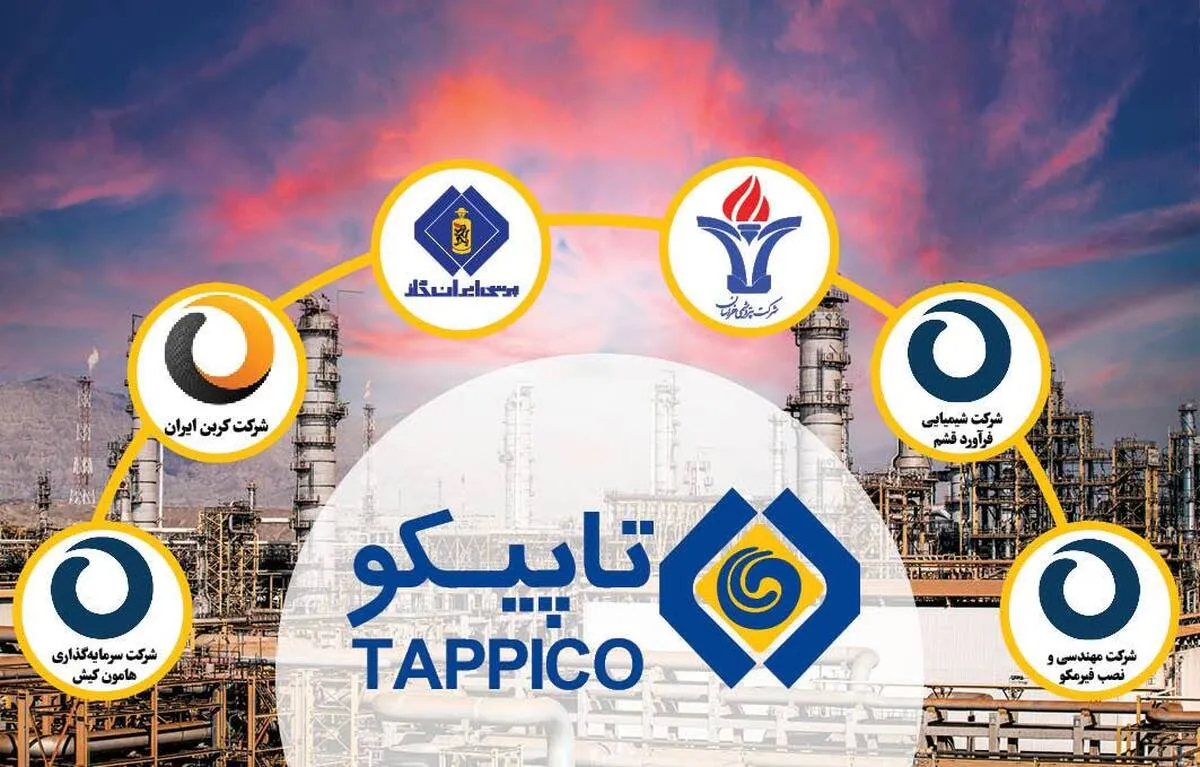 سه سناریو برای کاهش تصدی گری در تاپیکو/ عدم النفع پتروشیمی ها از ناترازی گاز