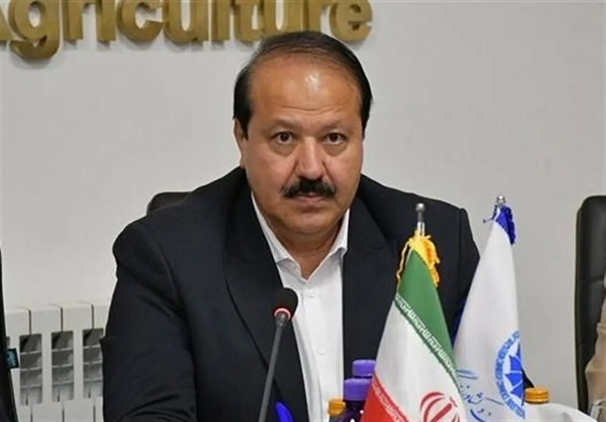 بخش خصوصی برای حفظ پایداری اقتصاد، در میدان حضور دارد