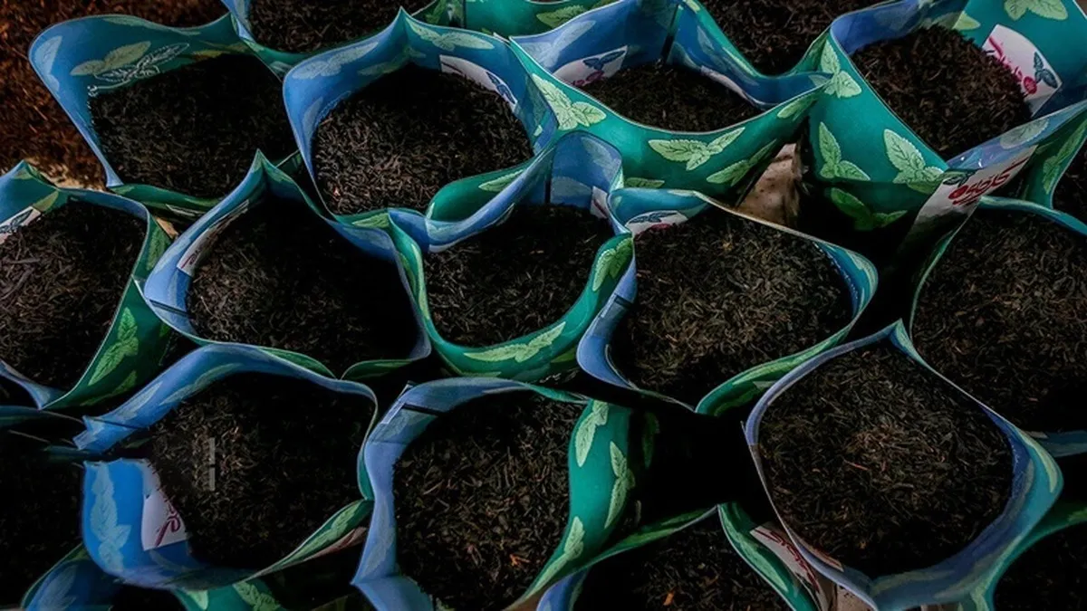 واردات چای مشمول ترخیص ۱۰۰ درصدی از گمرکات شد