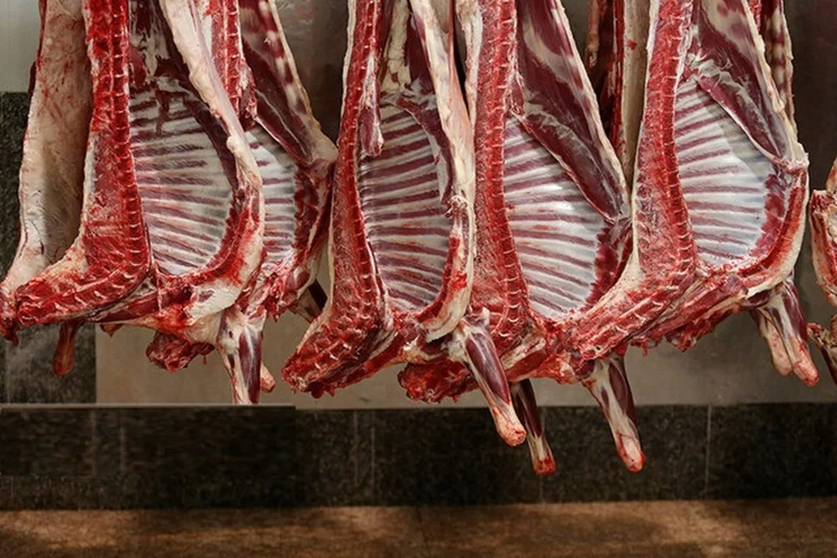 کاهش قیمت گوشت طی یک هفته گذشته/ ذخایر گوشت واردتی و تولیدی کشور بالا است