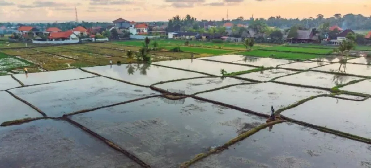 کشاورزی سنتی؛ متهم ردیف اول بحران آب در ایران