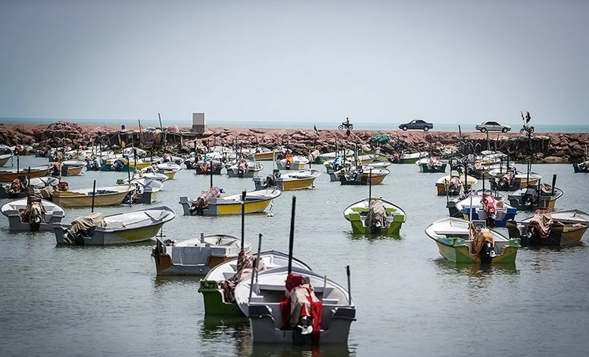 آغاز اجرای پروژه‌های بهسازی در 17 بندر ماهیگیری کشور