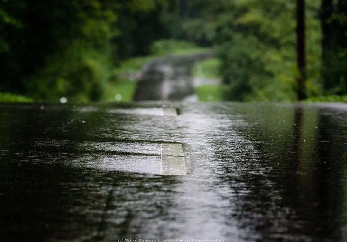 امیدواری به خاموشی کامل آتش‌سوزی الیت