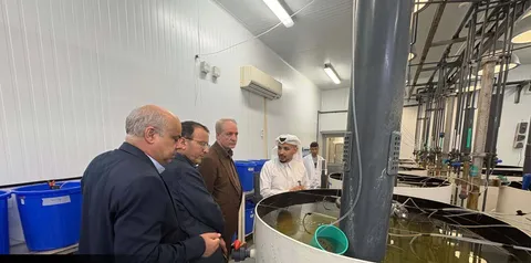 توسعه صادرات دام ایرانی و همکاری‌های علمی دامپزشکی میان تهران – دوحه