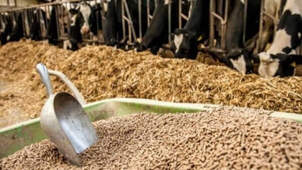 خیز طلای جهانی برای ۵۰۰۰ دلاری شدن