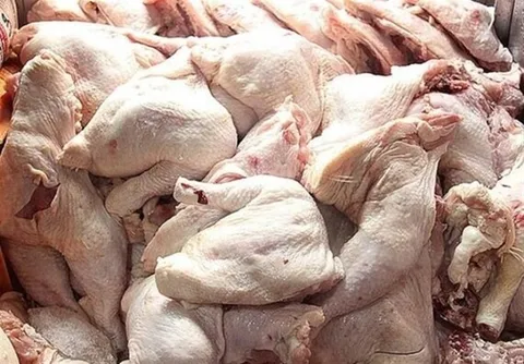 توزیع روزانه 2500 تن مرغ و گوشت قرمز در سطح تهران