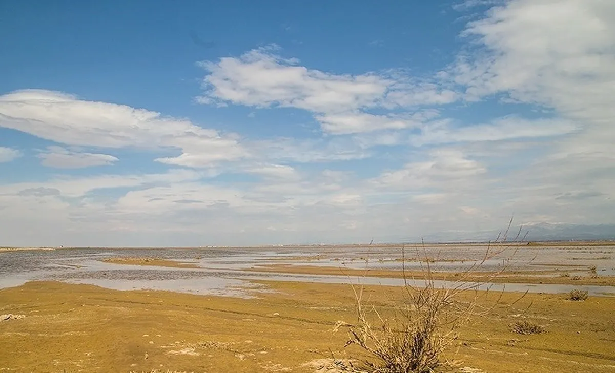 تهران تا پایان تابستان با پدیده گردوغبار درگیر خواهد بود