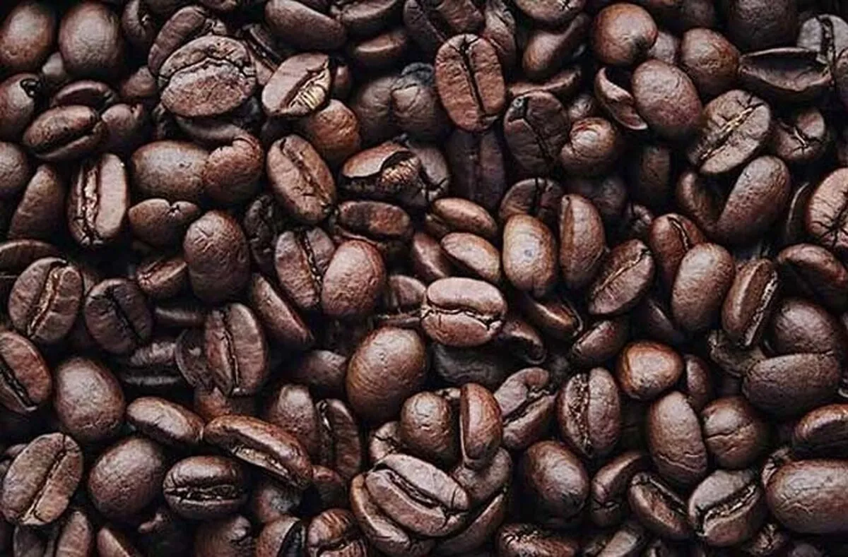 سقف ارزی جدید برای واردات قهوه اعلام شد