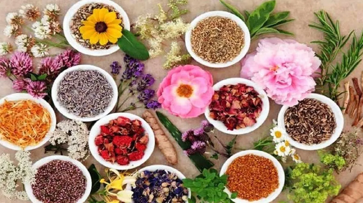 افزایش ۳۷ درصدی سطح زیرکشت گیاهان دارویی