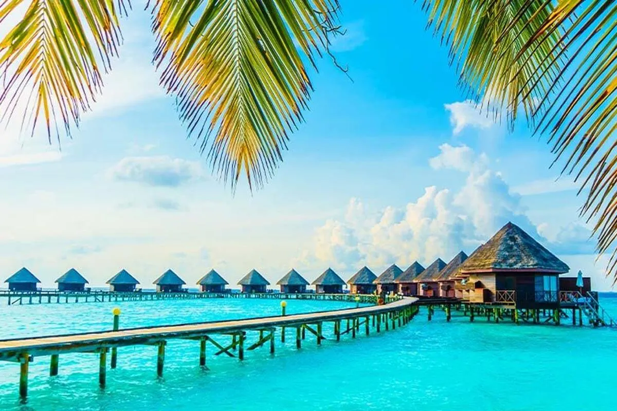 عملکرد ضعیف وزیر راه زیر سایه سفر پرحاشیه به کیش