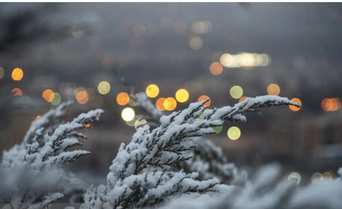 هشدار هواشناسی به ۲۵ استان؛ خسارت به محصولات کشاورزی با تشدید بارش‌ها