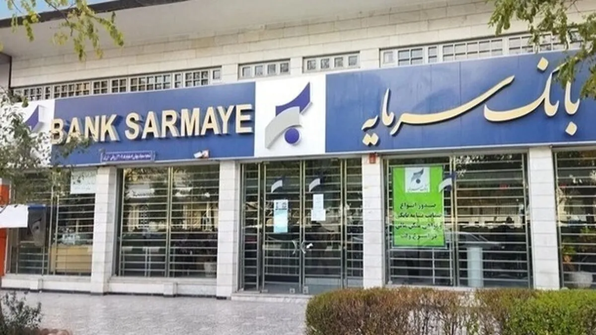 بدهکار بزرگ بانک سرمایه محکوم شد