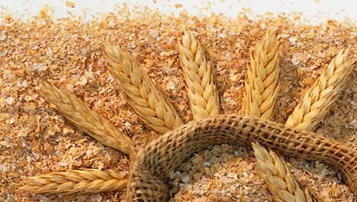 قیمت سبوس گندم دو برابر می‌شود؟