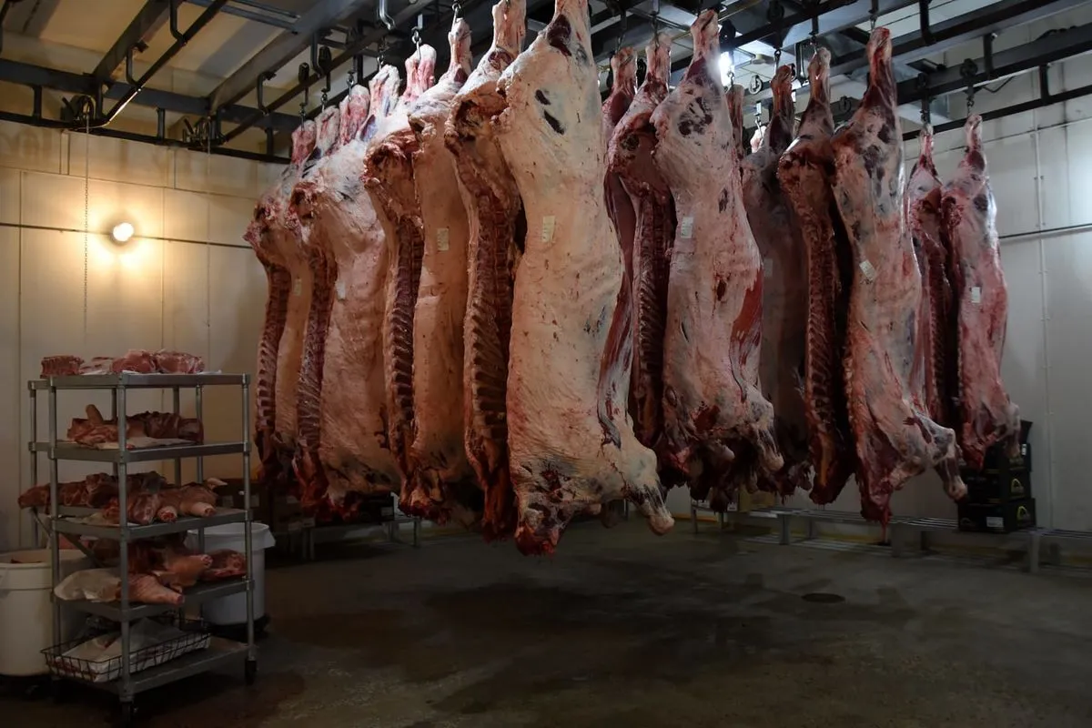 گوشت قرمز چطور از سفره مردم حذف شد؟