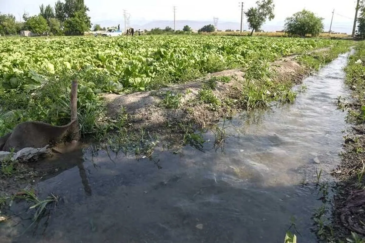 سهم ۹۰ درصدی بخش کشاورزی از مصرف آب کشور دقیق نیست
