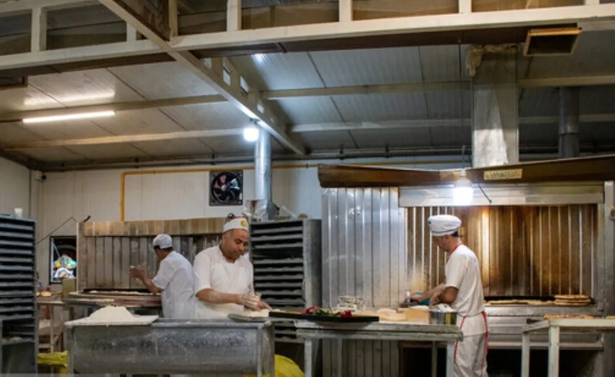 کمبود نان نداریم/ در صورت نیاز سهمیه آرد استان‌ها افزایش می‌یابد