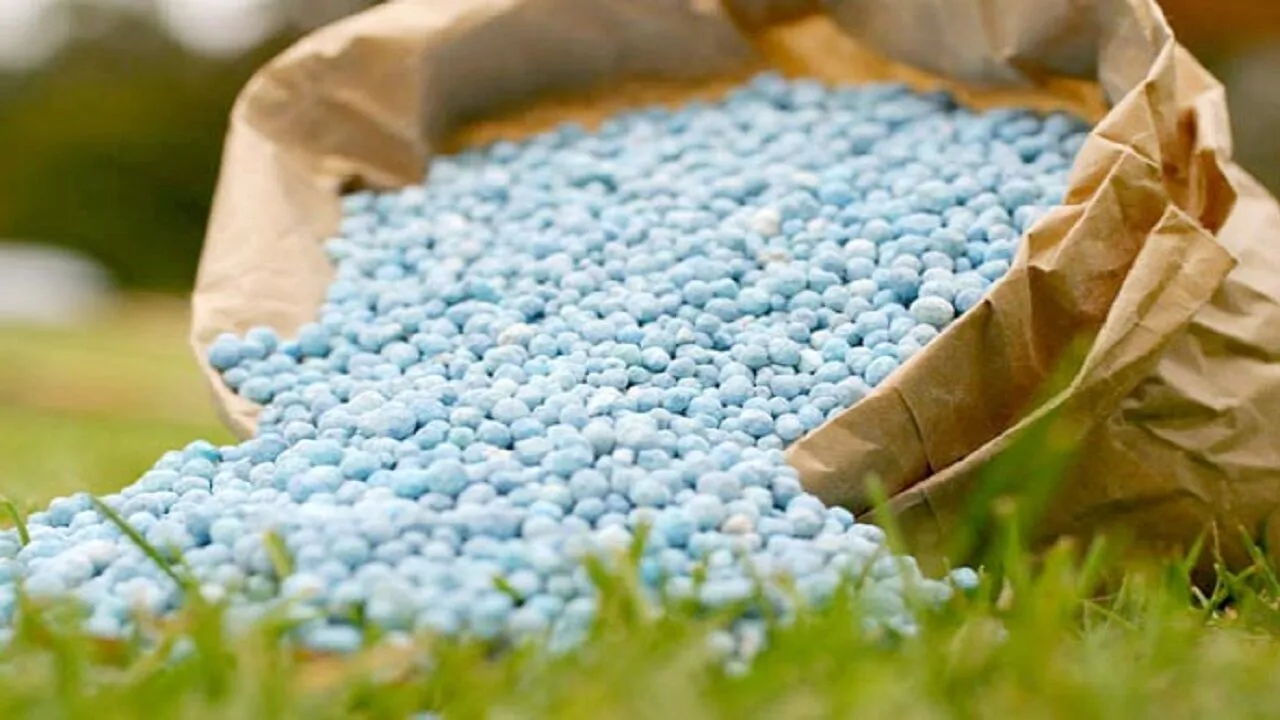 بیش از ۲.۲ میلیون تن کود یارانه‌ای تا پایان بهمن ‌ماه تامین شد