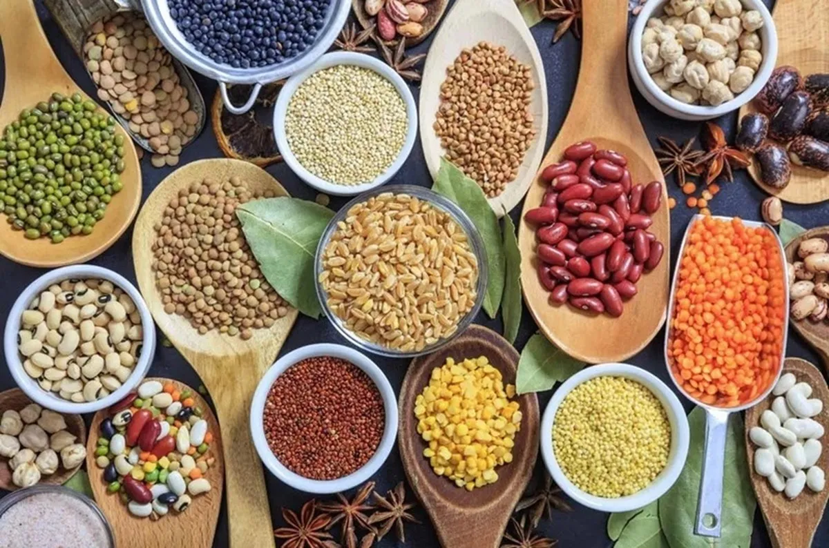 رشد بهره‌وری کشاورزی در گرو دانش‌بنیان شدن تولیدات است