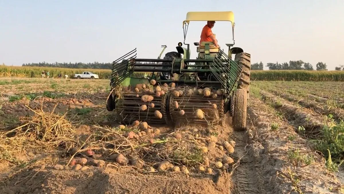 «ممنوعیت صادرات» نسخه تکراری و شکست خورده رفع مشکلات حوزه کشاورزی