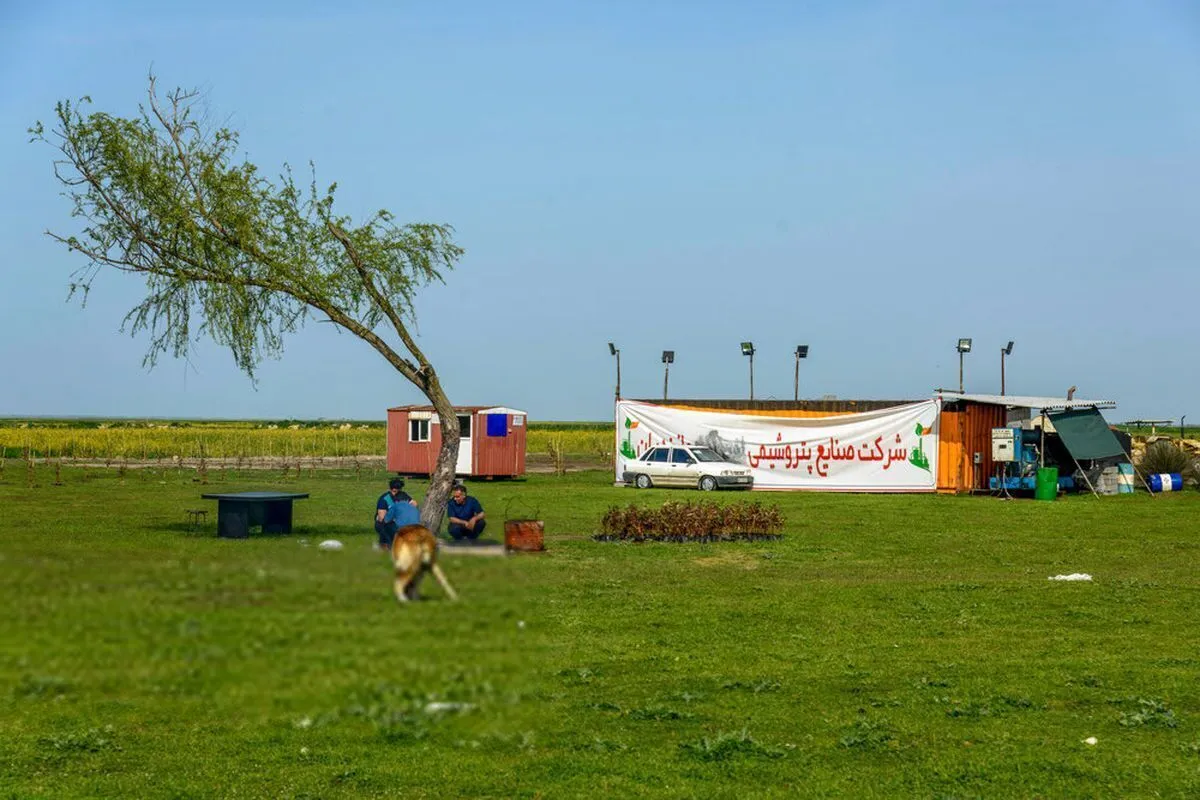 میانکاله مجوزی از شرکت ملی صنایع پتروشیمی ندارد