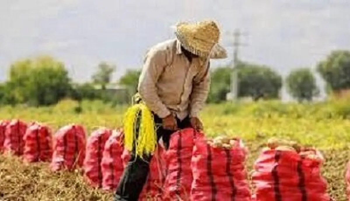 افزایش ۶ درصدی تعداد بهره‌برداران کشاورزی