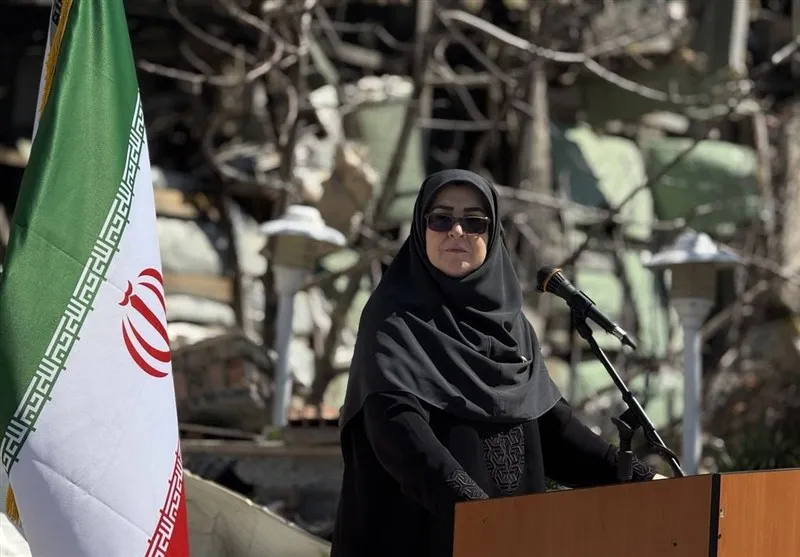 مهاجرانی: دولت از کسب‌و‌کارهای اینترنتی حمایت می‌کند