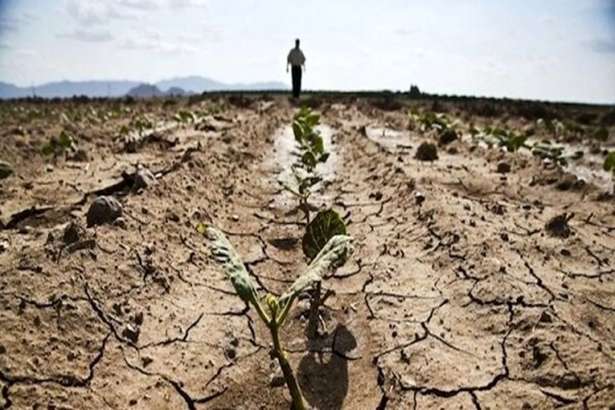 امهال بدهی و بخشودگی جرایم دیرکرد کشاورزان خسارت دیده