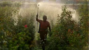 تنگه هرمز چطور در حال تغییر شاخص جهانی غذا و کشاورزی دنیاست؟