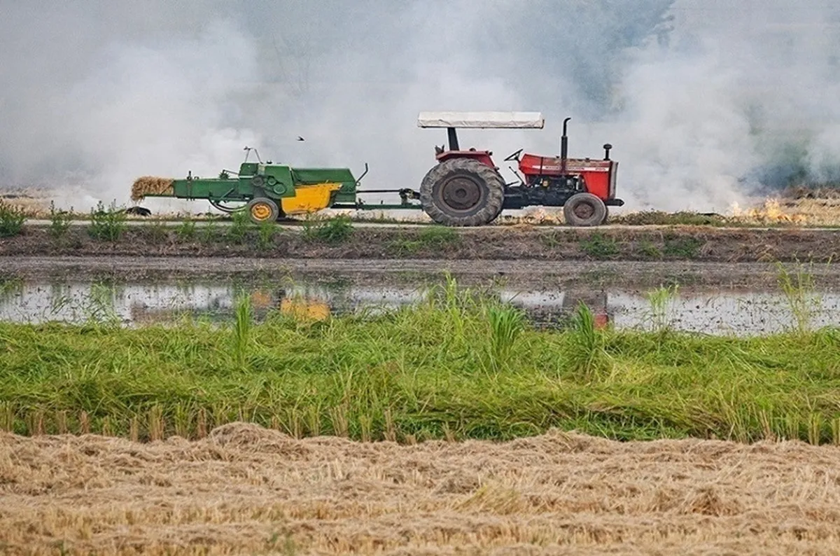 بیش از ۹۰ درصد مناطق روستایی به کشاورزی اختصاص دارد
