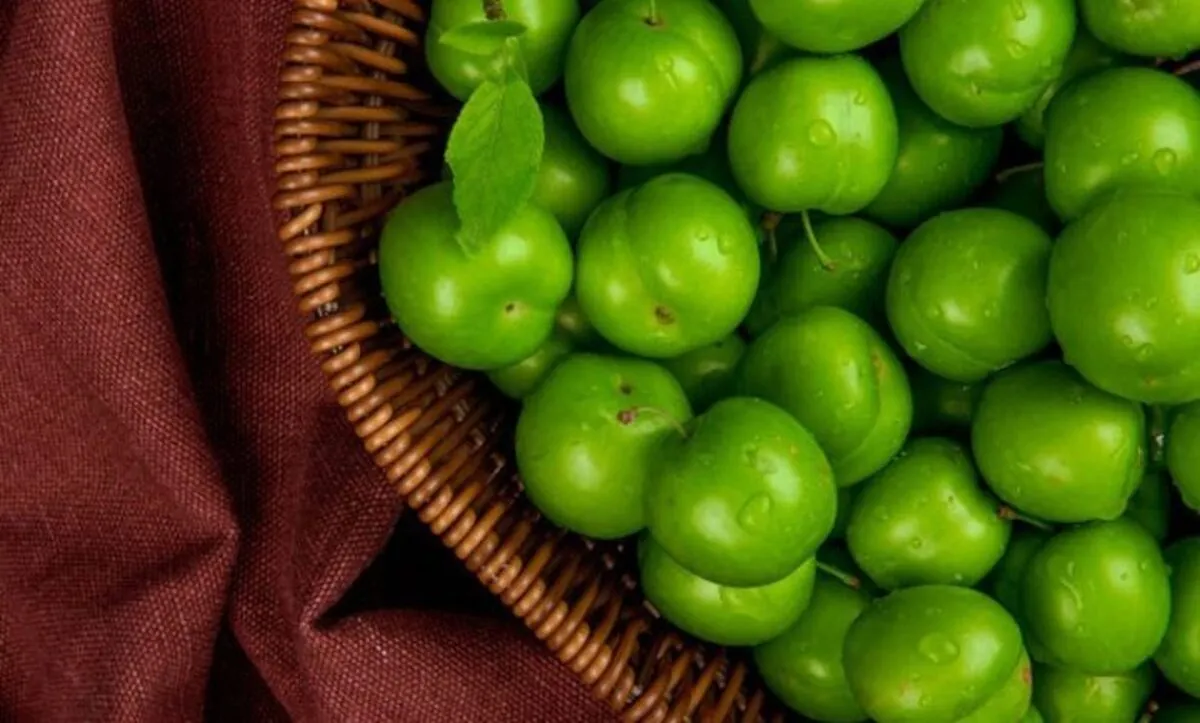 غافلگیری مردم از قیمت عجیب این نوبرانه