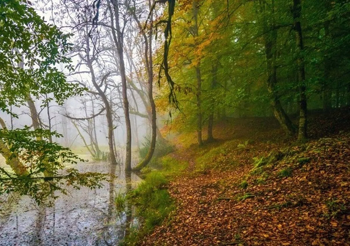 پاییز کم‌بارش و زمستان گرم در پیش است