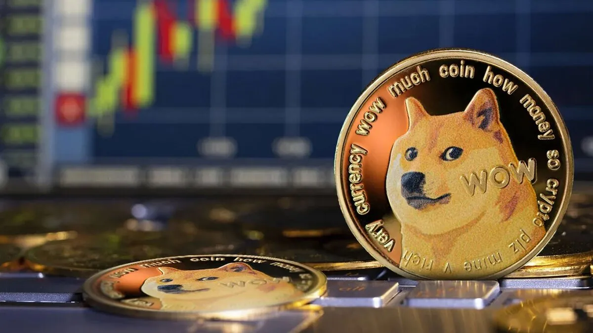 وکیل ایلان ماسک در راس خزانه‌داری جدید دوج‌کوین